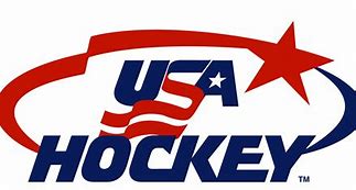 Image result for USA Hockey Logo