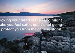 Image result for Head in the Sand Sayings