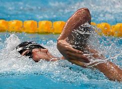 Image result for Swim Cup