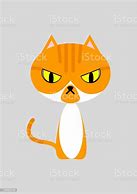Image result for Orange Tabby Cat Mad