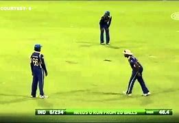 Image result for Funny Cricket