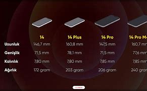 Image result for iPhone 14 vs iPhone 12 Mini Size