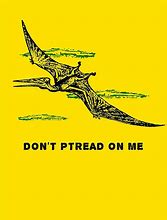 Image result for Pterodactyl Meme