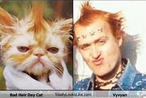 Image result for Funny Bad Hair Memes