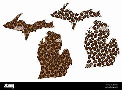 Image result for Michigan Map Made of Dry Beans