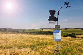 Image result for Outdoor Rain Gauge Weather Station