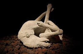 Image result for Pompeii Bodies Dog