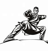 Image result for Shotokan Karate Stances