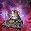 Image result for Galaxy Cat Wallpaper for Laptop