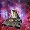 Image result for Crazy Cat Galaxy Wallpaper