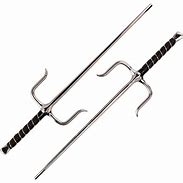 Image result for Martial Arts Weapons