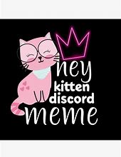 Image result for Hey Kitten Discord Meme