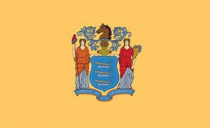 Image result for New Jersey State Colors