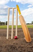 Image result for Cricket Bat and Wickets