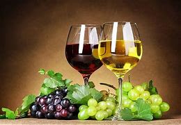 Image result for Wine and Grapes Border