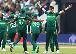 Image result for Pakistan vs NZ