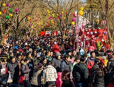 Image result for Beijing Local People