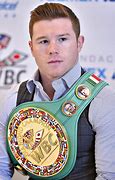 Image result for canelo