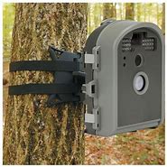 Image result for Hunting Camera Tree