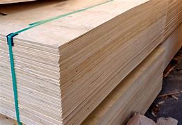 Image result for Types of Softwood