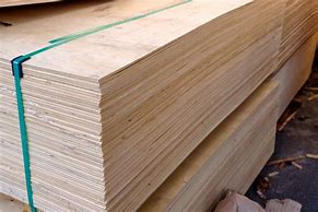 Image result for Softwood