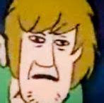 Image result for Spooked Shaggy Meme