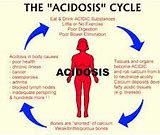 Image result for acidosos
