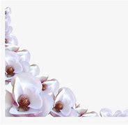 Image result for Flower Border Without Background