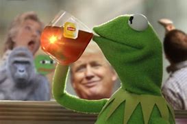 Image result for Kermit Memes Without Words