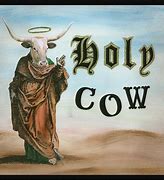 Image result for Holy Shit Cow