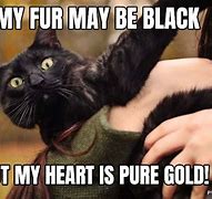 Image result for Funny Black Memes 2018