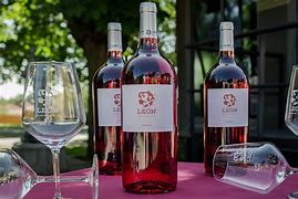 Image result for Mengoba Prieto Picudo Vino Tierra Leon Preto