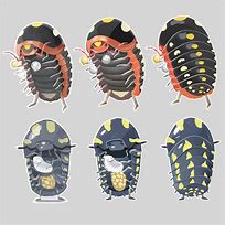 Image result for Isopod Sitting at Table Art