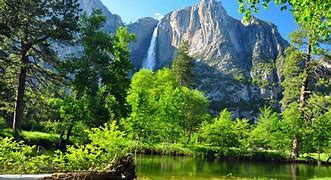 Image result for Yosemite National Park California Attractions
