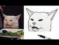 Image result for Drawn Cat Memes