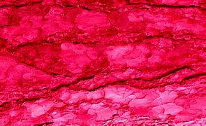 Image result for Grainy Red Background