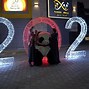Image result for Happy New Year Farm Animals