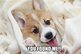 Image result for Haha You Found Me Meme
