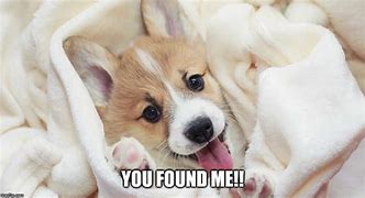 Image result for You Found Me Meme