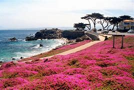 Image result for 2 Portola Plaza, Monterey, CA 93940 United States