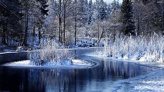 Image result for iPad Winter Screensavers
