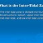 Image result for Intertidal Zone Food Chain