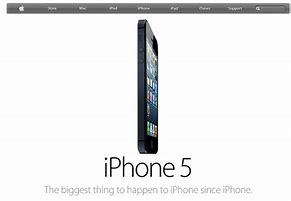 Image result for iPhone 5 Brown
