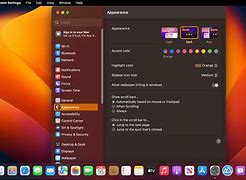 Image result for Mac OS 13