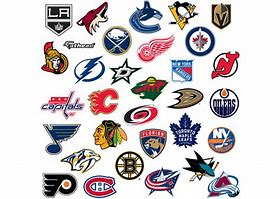 Image result for NHL Metallic Logo