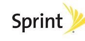 Image result for Sprint Raspberry Phone