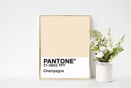 Image result for Couleur Champagne Pantone