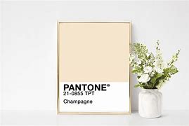 Image result for Light Champagne Pantone