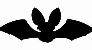 Image result for Bat Ears Transparent Background