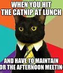 Image result for Business Cat Blank Meme